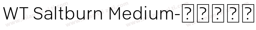 WT Saltburn Medium字体转换